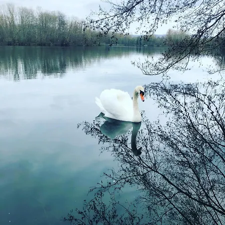 De La Cote A Sur Moselle Feriehus *